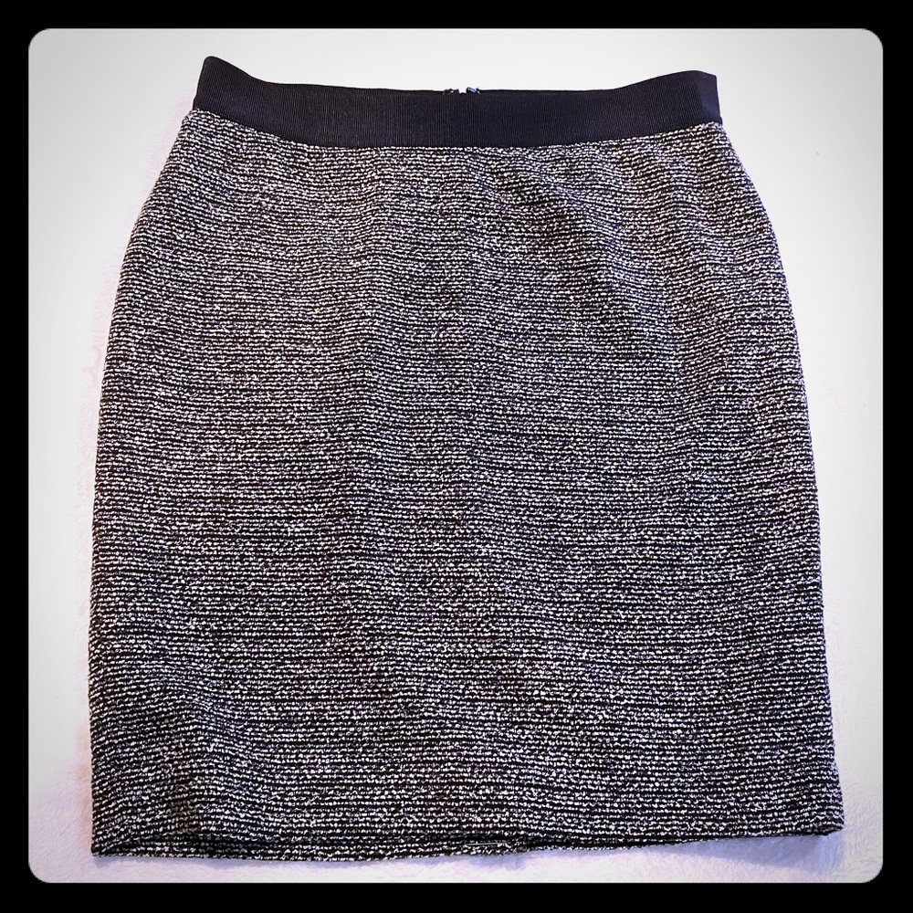 Ann Taylor Skirt